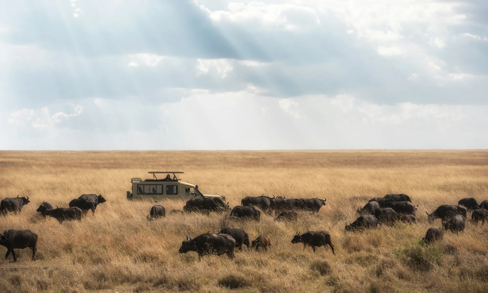 The Great Migration in Kenya