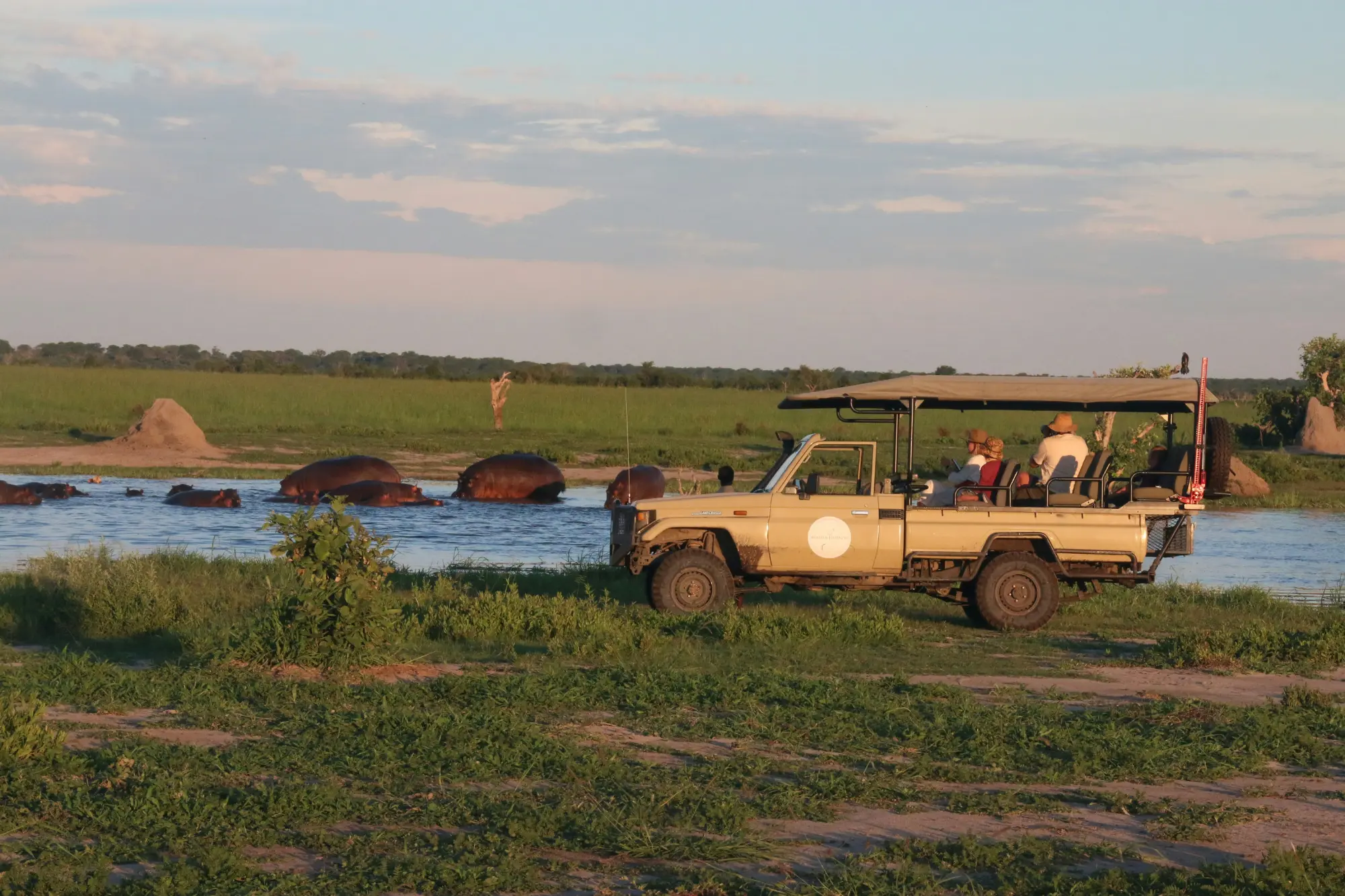 Visitors watching a herd of hippos in a safari in Botswana.