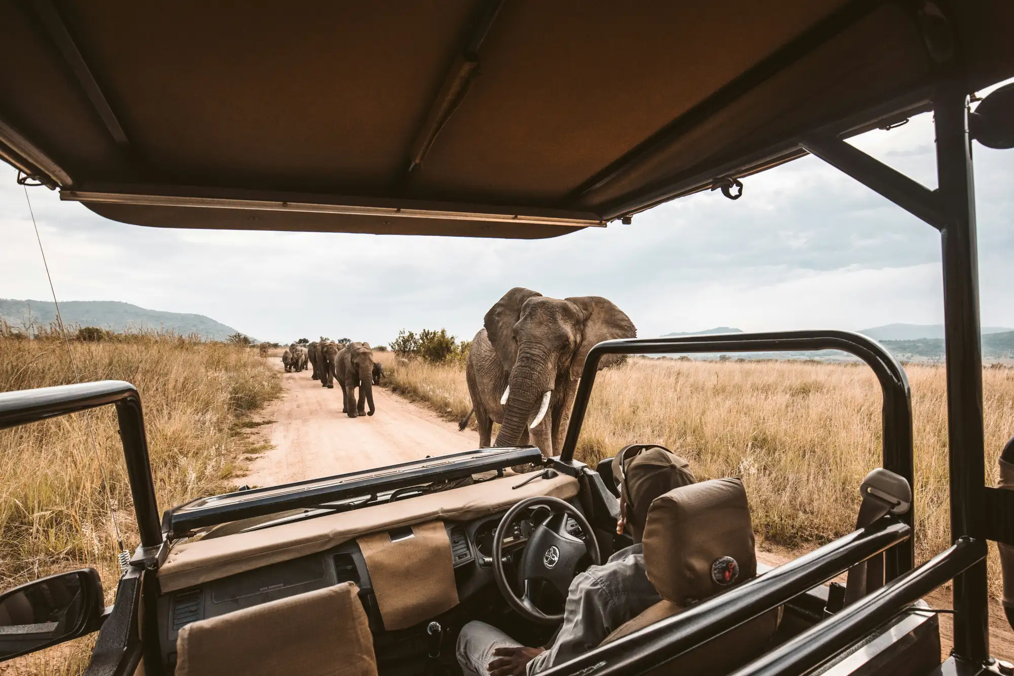 Choose Salute Africa for personalised attention for your next trip.