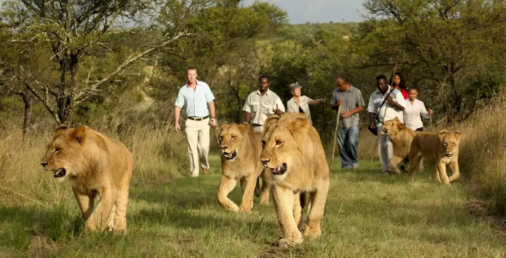 Day excursions in Zimbabwe.