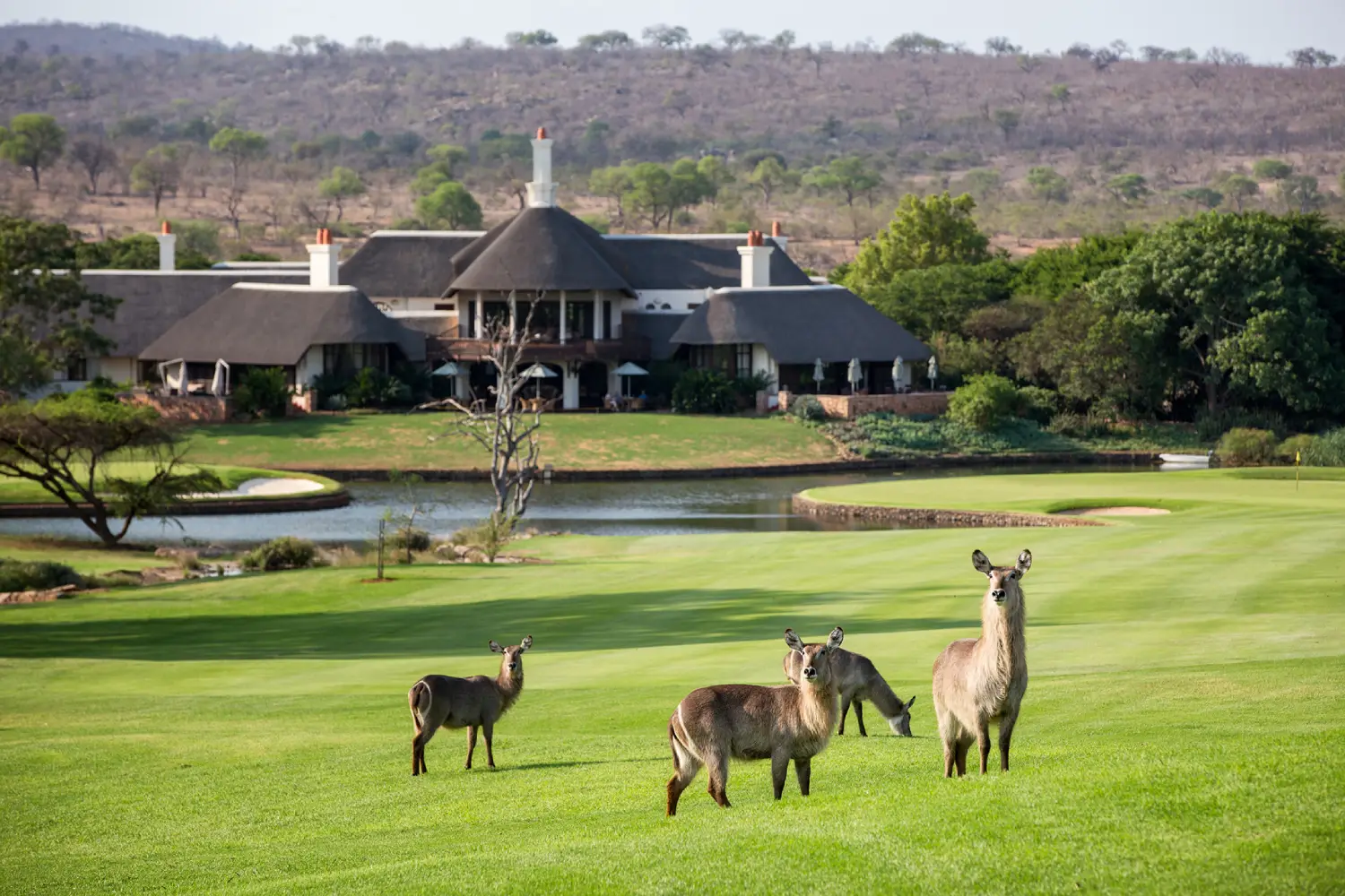 Leopard Creek Country Club and Golf Course