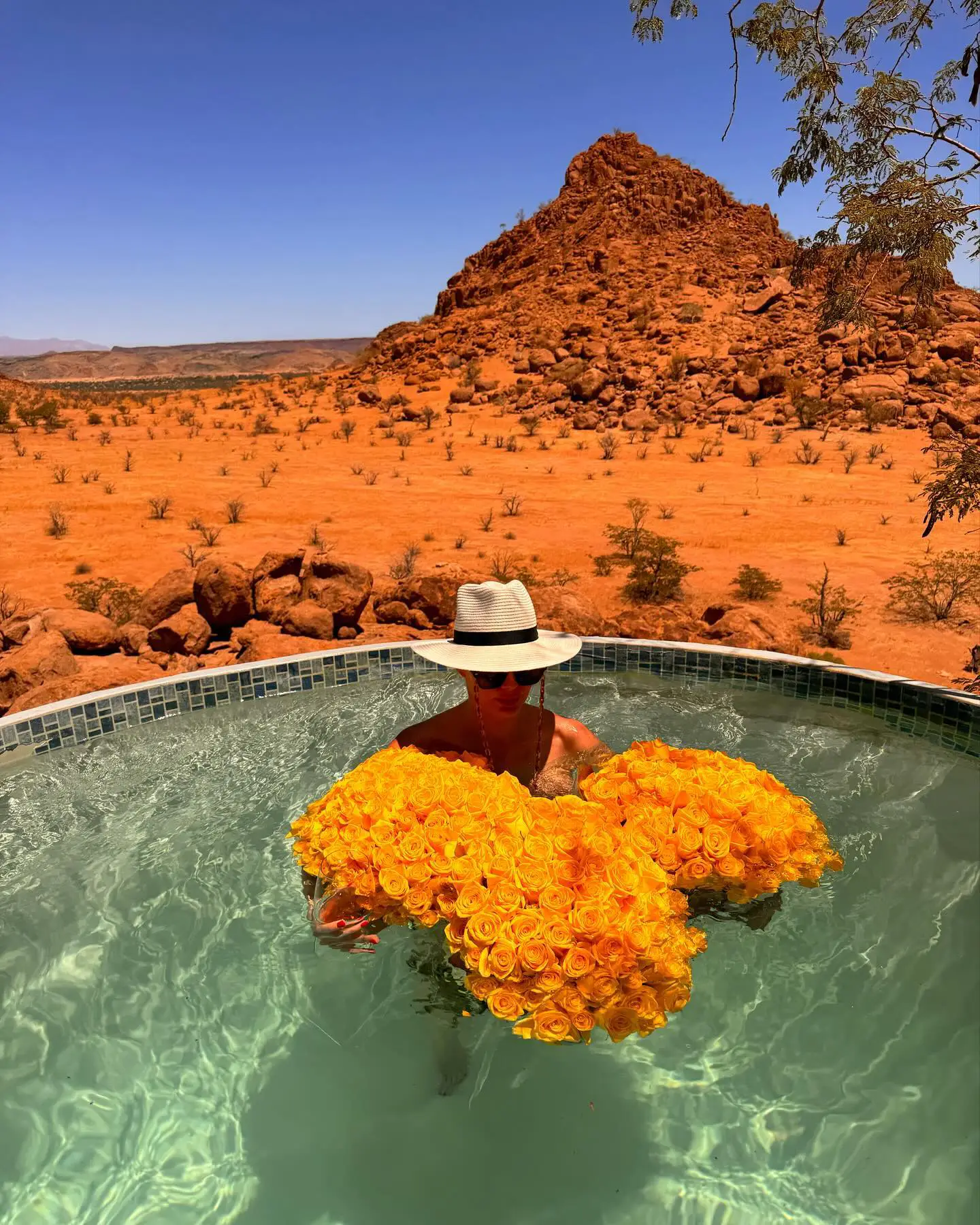 Someone swimming in a pool full of flowers in the African desert