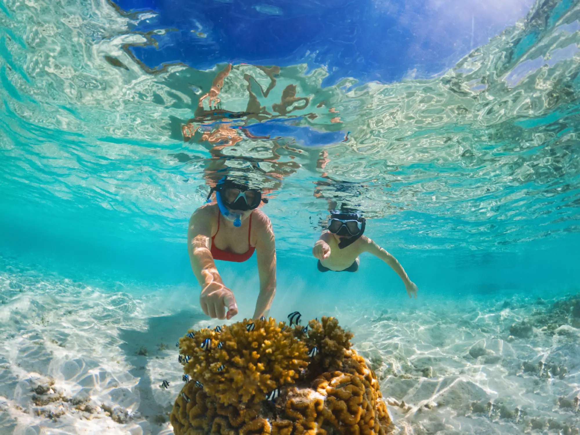 Children swimming alongside the fish in Mozambique whilst diving.