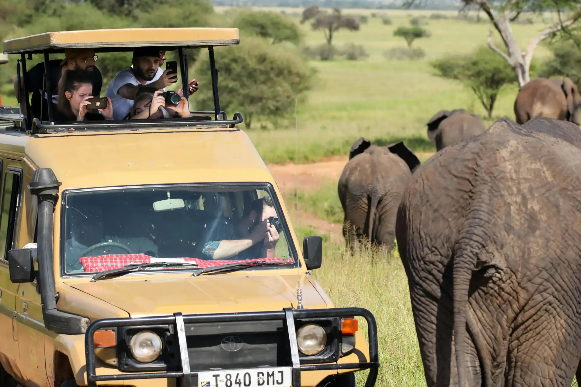 Safari tours in Botswana