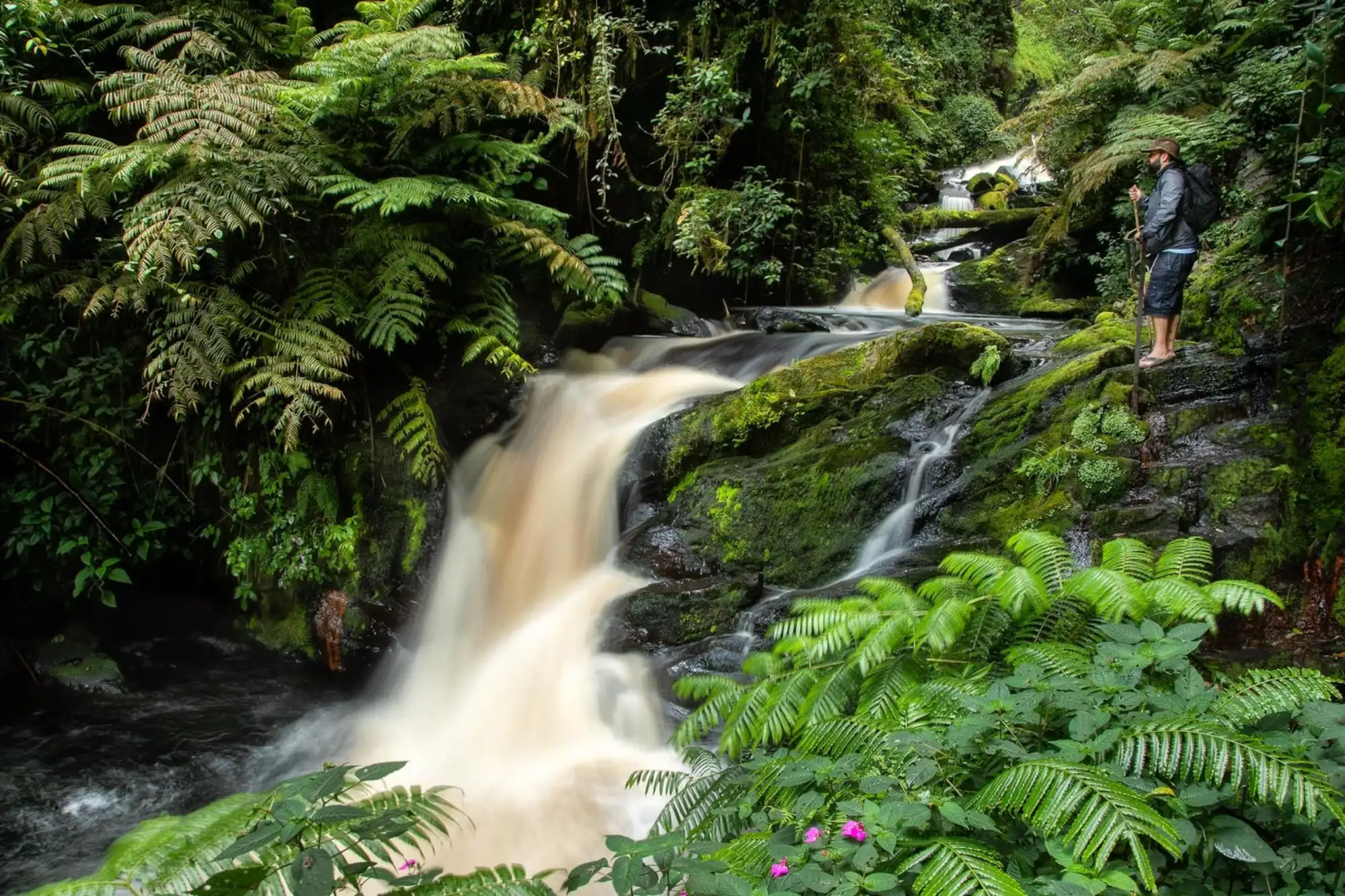 A waterfall in a lush, green forest in Rwanda.