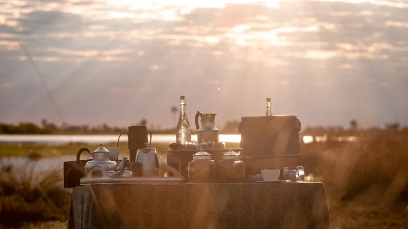 A picnic in the Okavango Delta