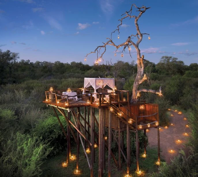 Treehouse Accommodation in Tanzania