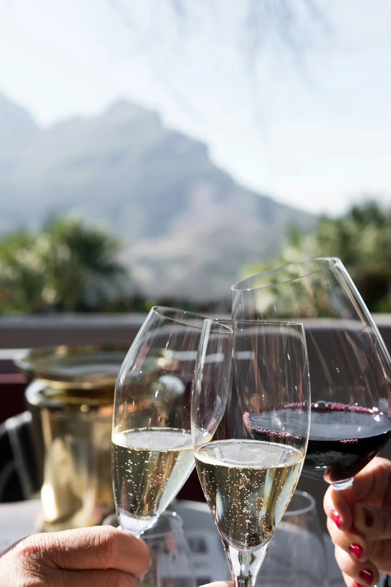 Cape Winelands premium wine